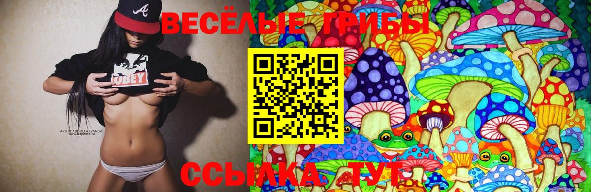 Псилоцибиновые грибы ЛСД Северск